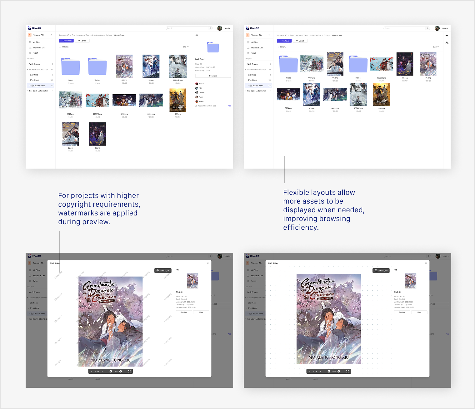 Asset library browsing views and protected preview states